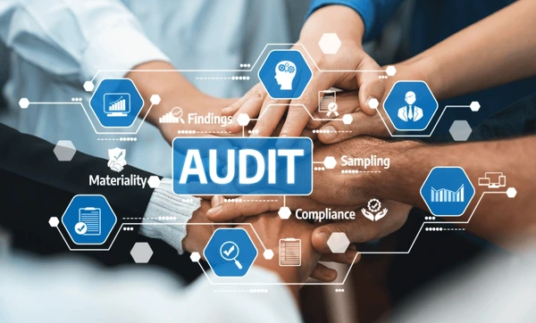 Consultanta & Audit
